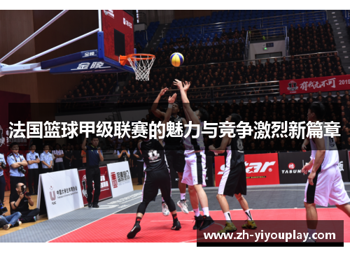 法国篮球甲级联赛的魅力与竞争激烈新篇章