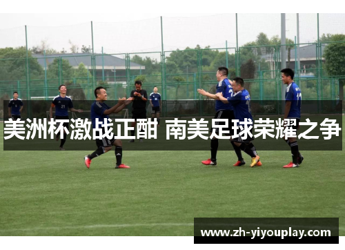 美洲杯激战正酣 南美足球荣耀之争